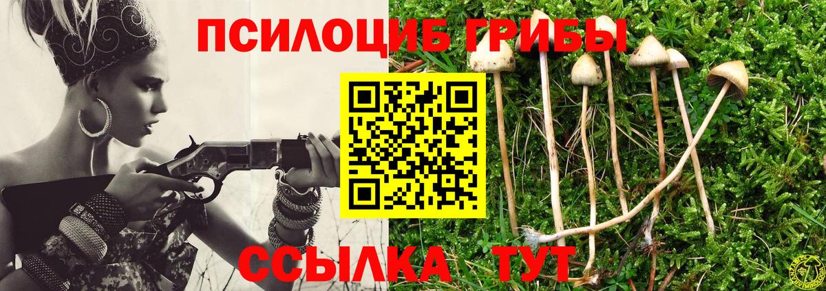Галлюциногенные грибы мухоморы Когалым